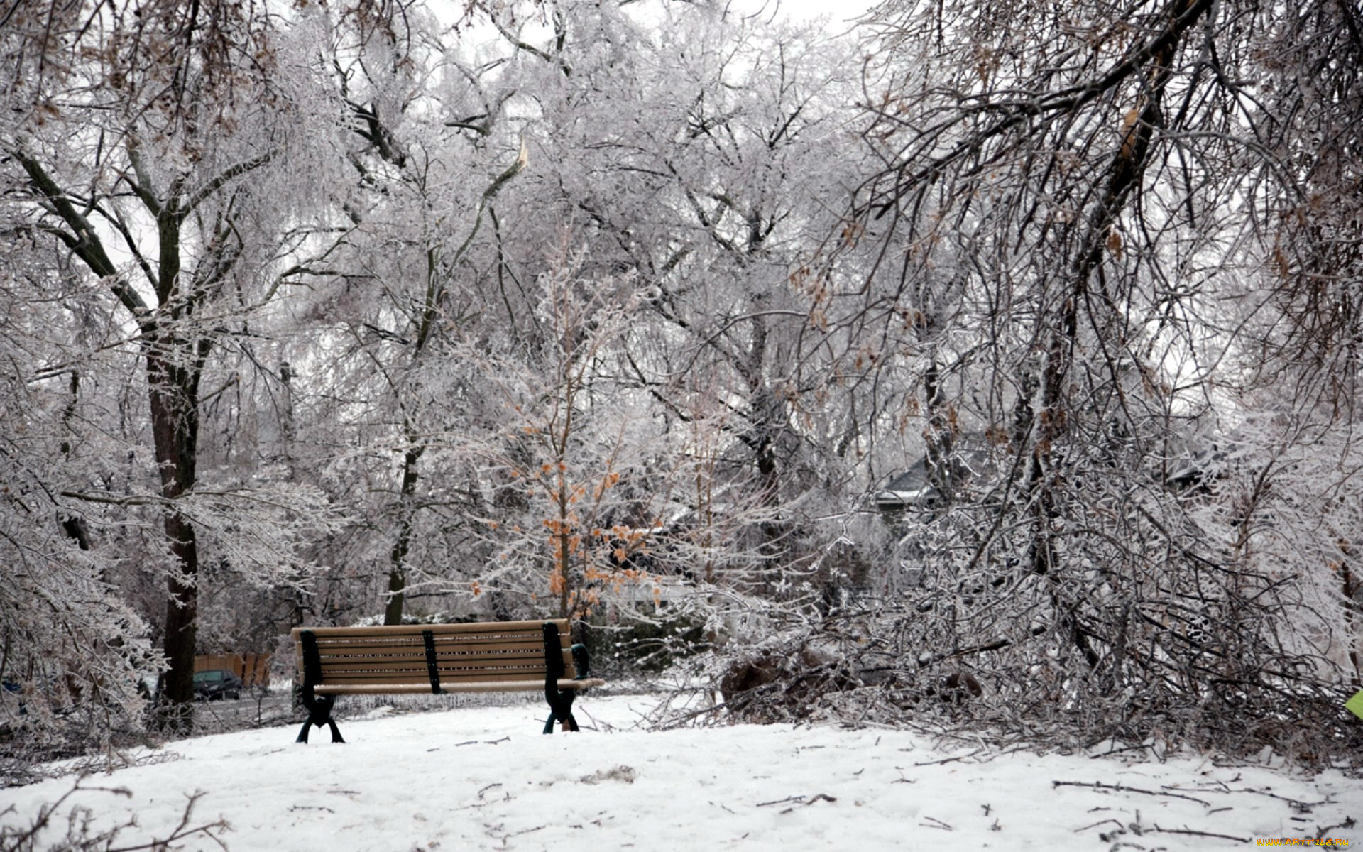 Snowing pic. Зима снег парк. Старый зимний парк. Снегопад парк. Снег в парке.